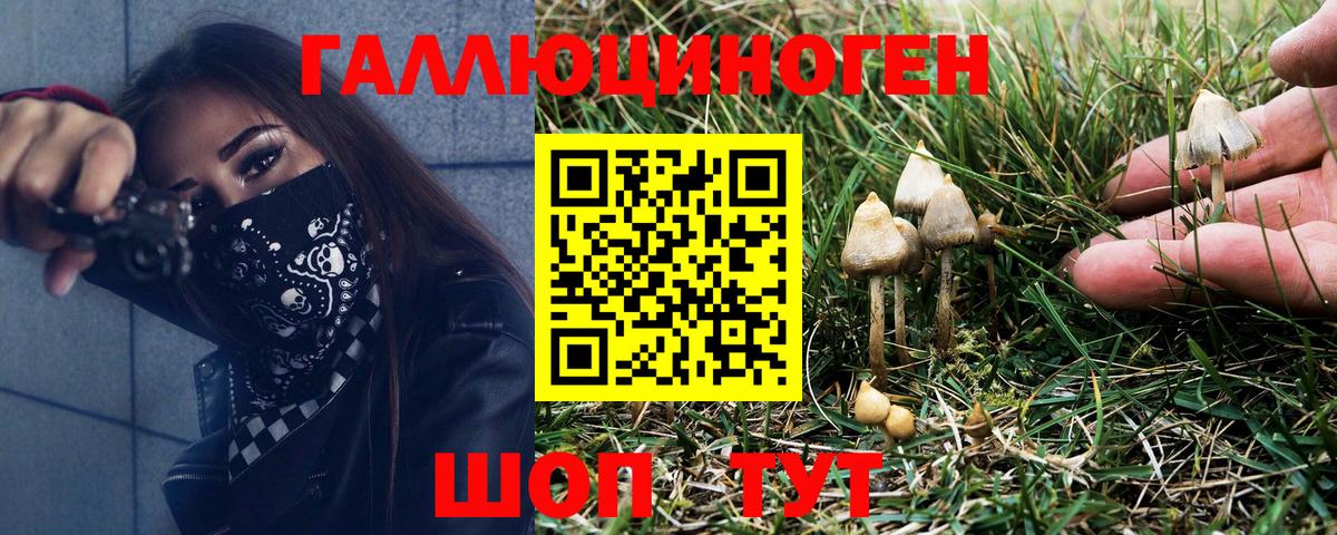 Братск  Галлюциногенные грибы Magic Shrooms  Галлюциногенные грибы мицелий  Вход с VPN 